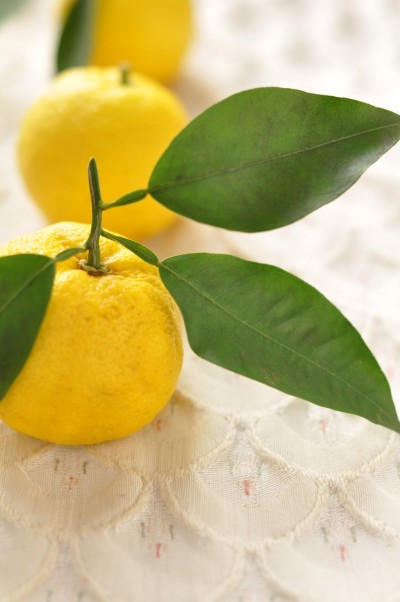 ゆず