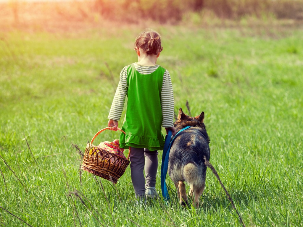 少女と犬の散歩