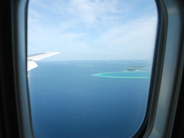 ワンちゃんといっしょに空の旅