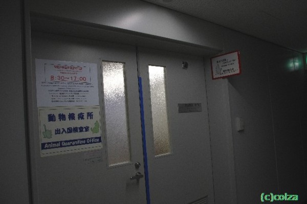 成田空港内にある動物検疫所