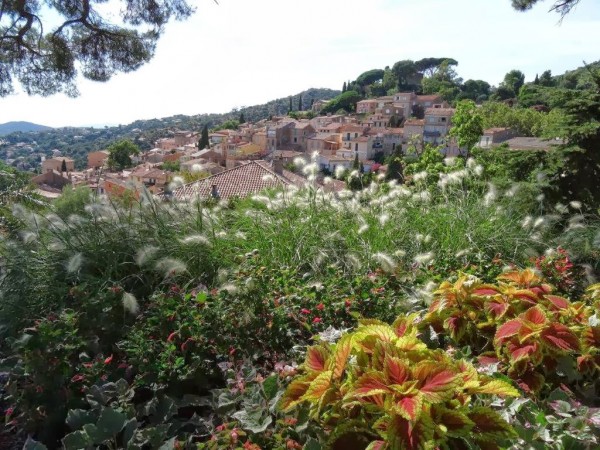 Bormes les Mimosas