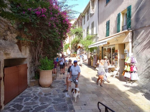 Bormes les Mimosas