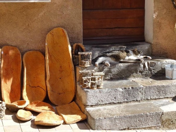 お店で見かける可愛い猫ちゃん