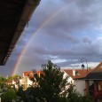 IMAG0215