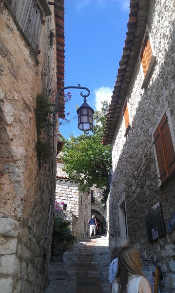 IMAG0522