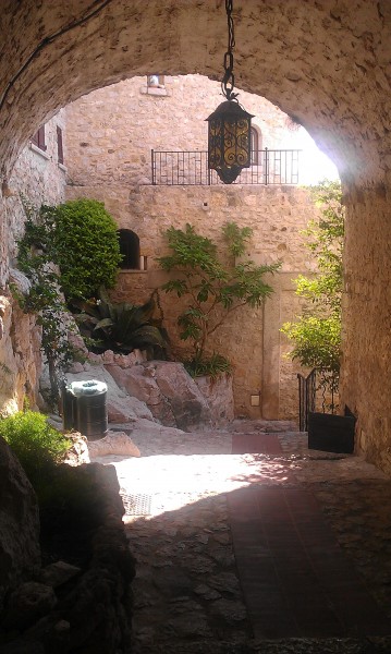 IMAG0531