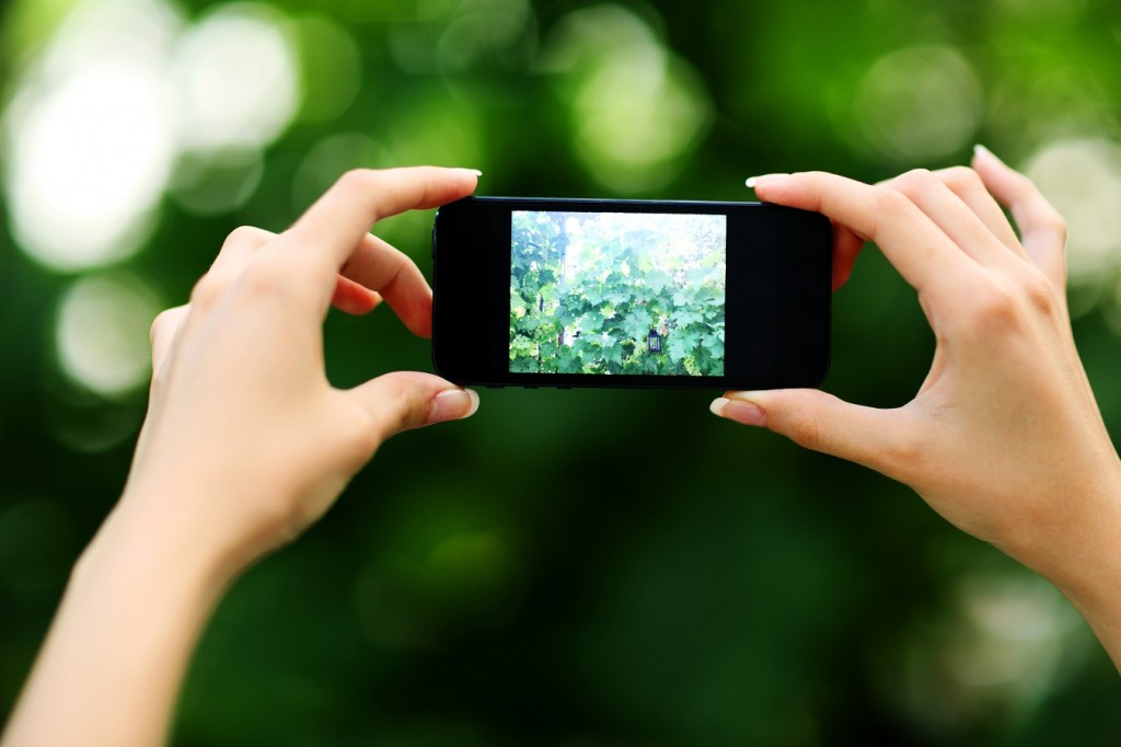 Closeup portrait of a female hands making photo with smartphone