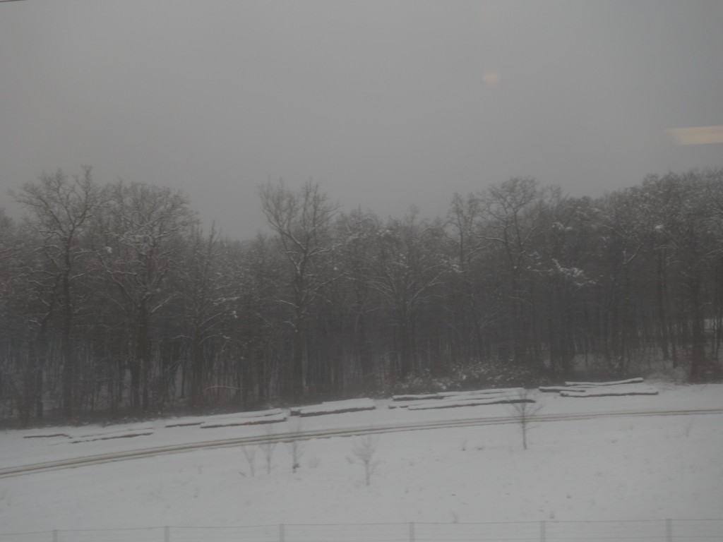 PICT_20160307_161843[1]