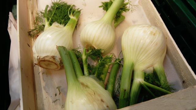Fenouil