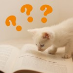紛らわしい名詞