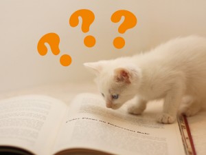 紛らわしいgrainとgraineの使い分け