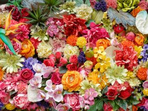 敷き詰められた花