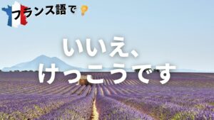 Vol.11「Non merci」楽しく学ぶフランス語　