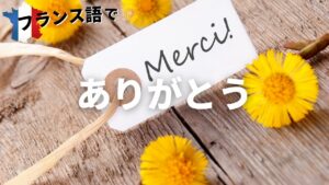 Vol.6「Merci」楽しく学ぶフランス語　