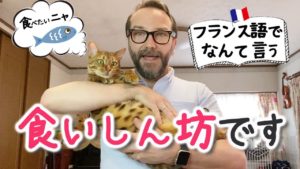Vol.147　食べることが大好き？　食いしん坊ですってフランス語で何て言う？　楽しく学ぶフランス語