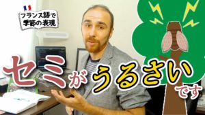 Vol.279　「セミがうるさいです」をフランス語で？　楽しく学ぶフランス語　