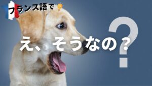 Vol.47「Ah bon ?」楽しく学ぶフランス語　