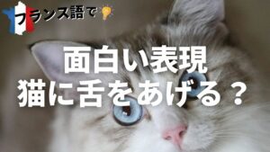 Vol.57「フランス語の面白い表現～猫に舌をあげる？～」楽しく学ぶフランス語　