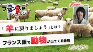 Vol.145　「羊にもどりましょう」とは...？　楽しく学ぶフランス語　