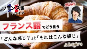 Vol.207　「どんな感じ？」と「それはこんな感じ」　フランス語でどう言う？ 　楽しく学ぶフランス語　