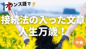 Vol.105　接続法の入った文章 人生万歳！（中級者編）　楽しく学ぶフランス語　