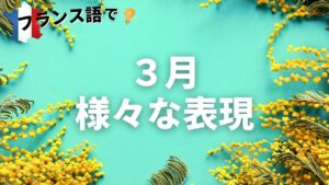 Vol.200　ミモザが咲き始めます「Mars」3月の表現　楽しく学ぶフランス語　