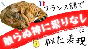 Vol.310　「触らぬ神に祟りなし」に似たフランス語表現　楽しく学ぶフランス語