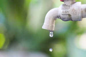フランス干ばつ　パリでも節水呼びかけ