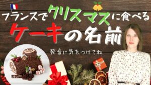 Vol.346　フランスでクリスマスに食べるケーキ「ブッシュ・ド・ノエル」　楽しく学ぶフランス語