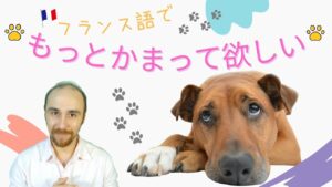 Vol.361　「もっとかまってほしい」フランス語でなんて言う　楽しく学ぶフランス語