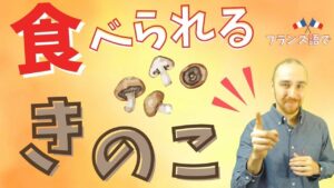 Vol.466　「食用のキノコ」ってフランス語ではなんて言うの　楽しく学ぶフランス語