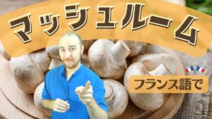 Vol.469　フランス語で「マッシュルーム」は「⚪︎⚪︎のきのこ」　楽しく学ぶフランス語