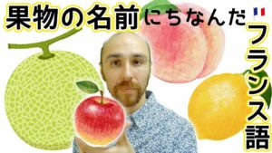 Vol.484　果物の名前にまつわるフランス語表現　楽しく学ぶフランス語