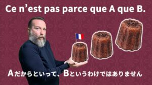 Vol.564　フランス語や日本語でもよく使われる言い回し「Ce n’est pas parce que A que B.」　楽しく学ぶフランス語